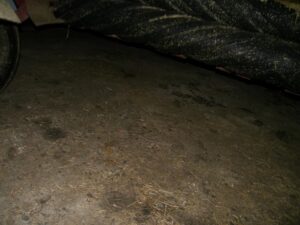 2016-NEW-HOLLAND-DISCBINE-313-77574-20