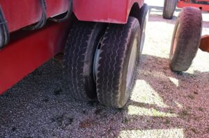 2021-SUPREME-INTL-1700TR-77396-6