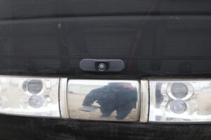 2024-CASE-IH-STEIGER-645-AFS-CONNECT-QUADTRAC-77157-3