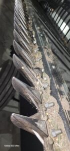 2024-MAC-DON-FD240-77717-1