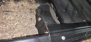 2024-MAC-DON-FD240-77717-5